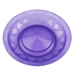 ASSIETTE CHINOISE HENRYS 25cm - COFFRET VIOLET