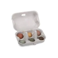 BOITE A OEUFS 6 BOMBES A GRAINES - LE JARDIN DU MOULIN - MOULIN ROTY