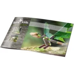 TERRA KIDS - CONNECTORS KIT DE BASE -Créatifs Jeux Magasin Connectors – Kit de base 3