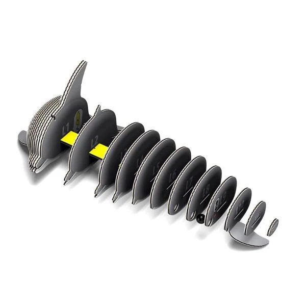 MAQUETTE EUGY - ANIMAL SAUVAGE : DAUPHIN 3D 5 MAQUETTE EUGY - ANIMAL SAUVAGE : DAUPHIN 3D – Image 3