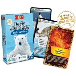 DEFIS NATURE - FROID EXTREME -Créatifs Jeux Magasin defis nature froid extreme 3