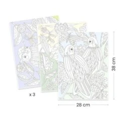 COLOURING GALLERY - COLORIAGE GRAND FORMAT OISEAUX - DJECO -Créatifs Jeux Magasin djeco2 3