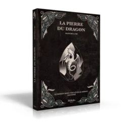 LA PIERRE DU DRAGON