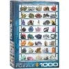 PUZZLE EUROGRAPHICS : MINERAUX - 1000 PIECES -Créatifs Jeux Magasin mineraux