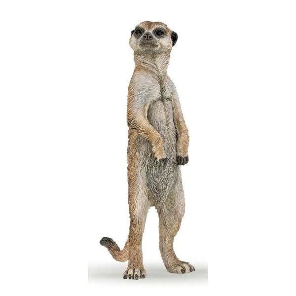 SURICATE DEBOUT - PAPO 3 SURICATE DEBOUT - PAPO