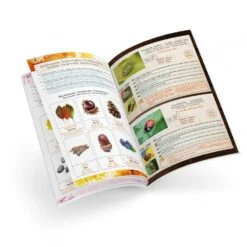 TERRARIUM - BUKI -Créatifs Jeux Magasin terrarium 4