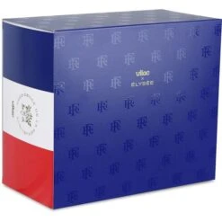 AVION PRESIDENTIEL ELYSEE - VILAC -Créatifs Jeux Magasin vilac